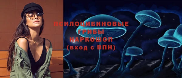 Альфа ПВП Богородск